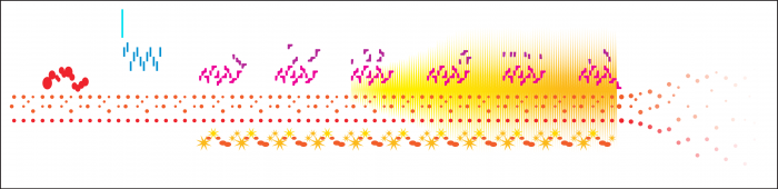 bruce_song_visualization